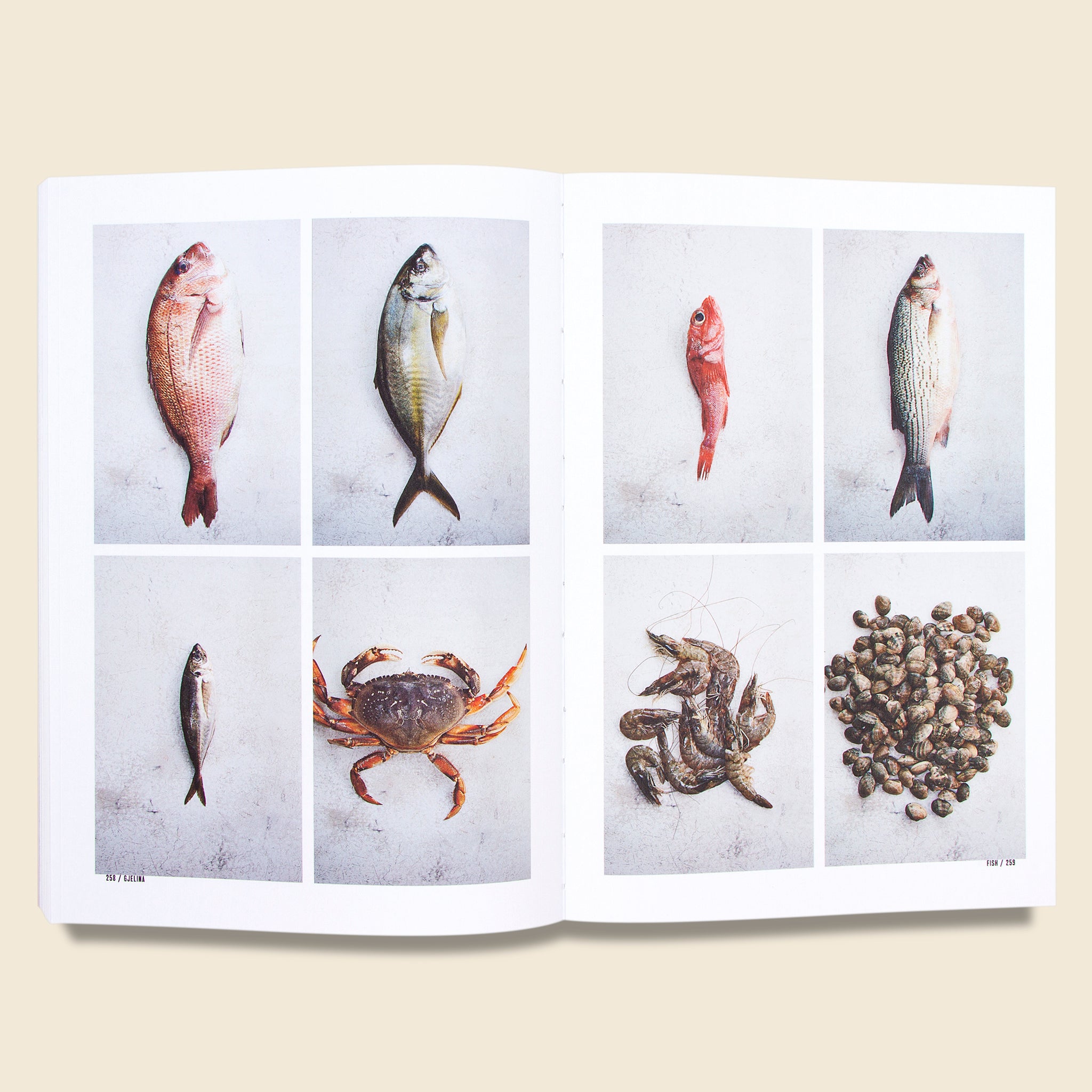 Gjelina - Bookstore - STAG Provisions - Home - Library - Book