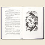 The Old Man and the Sea - Bookstore - STAG Provisions - Home - Library - Book