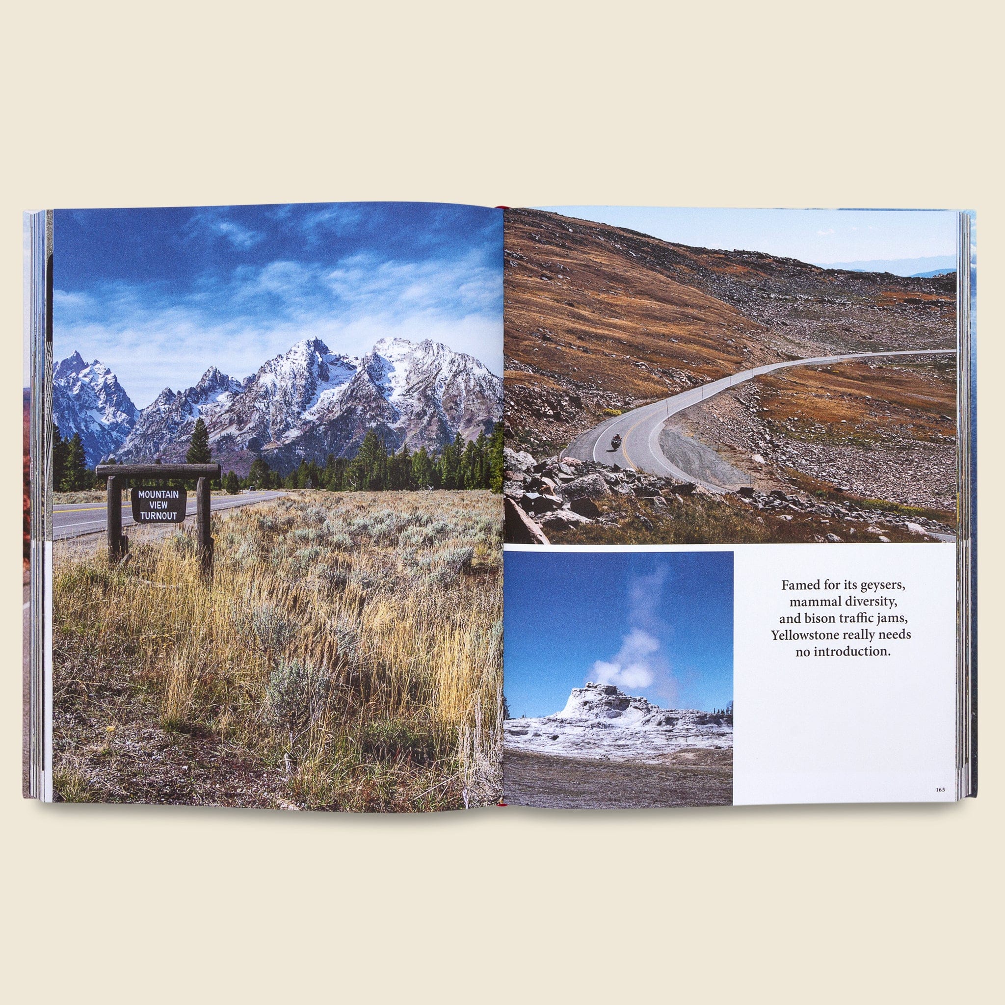 The Great American Roadtrip: Roam the Roads from Coast to Coast - Bookstore - STAG Provisions - Home - Library - Book
