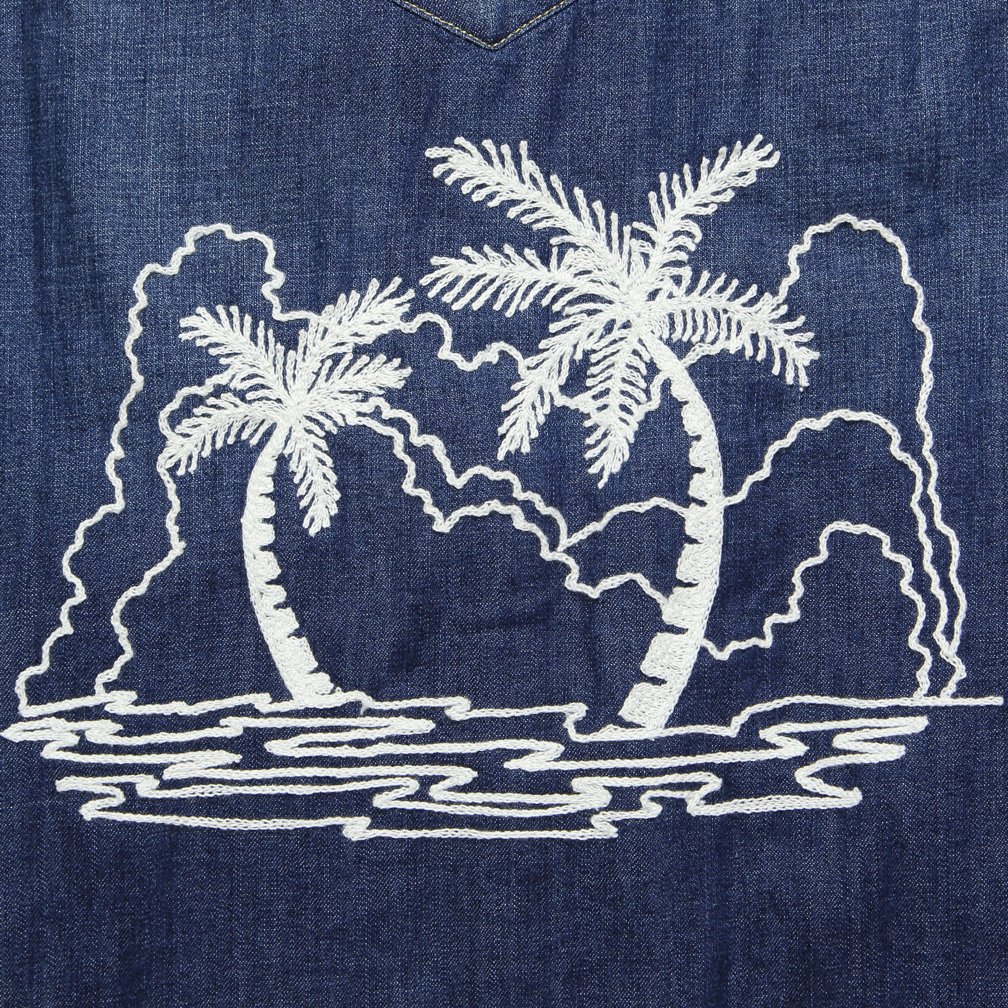 Levi's Barstow Western - Palm Trees - Fort Lonesome - STAG Provisions - Tops - L/S Woven - Other Pattern