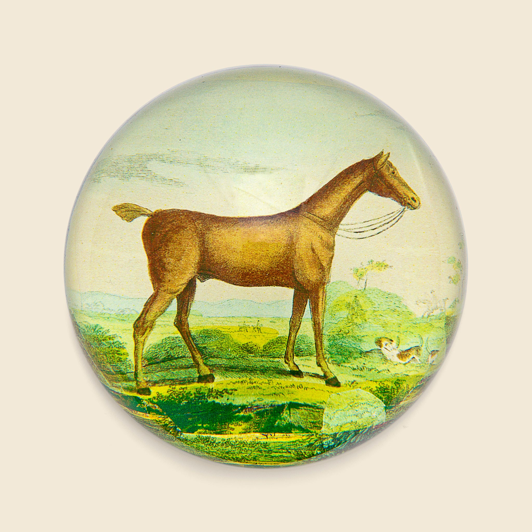 Dome Paperweight - Brown Horse - John Derian - STAG Provisions - Home - Art & Accessories - Decorative Object
