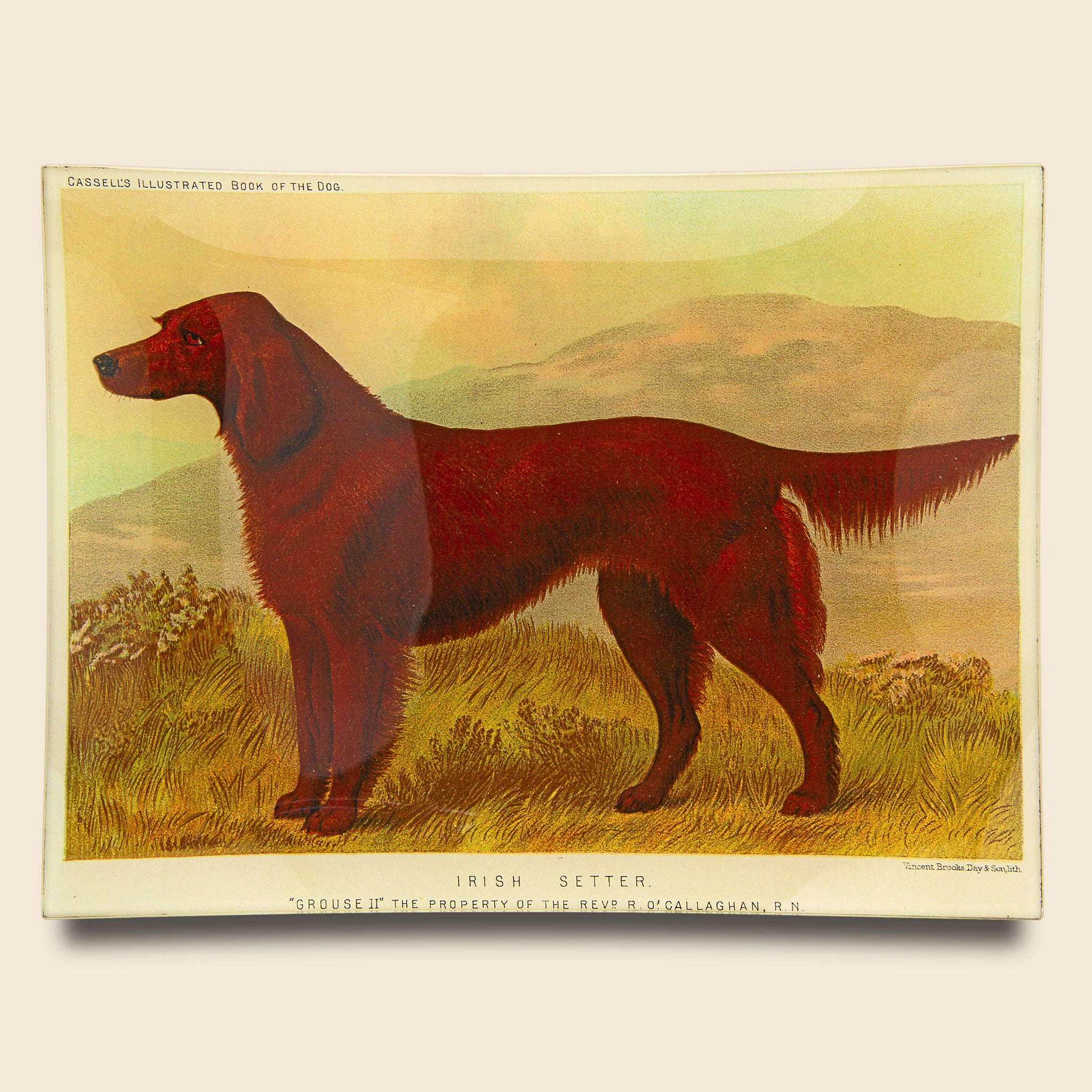 Irish Setter Tray - John Derian - STAG Provisions - Home - Art & Accessories - Tray