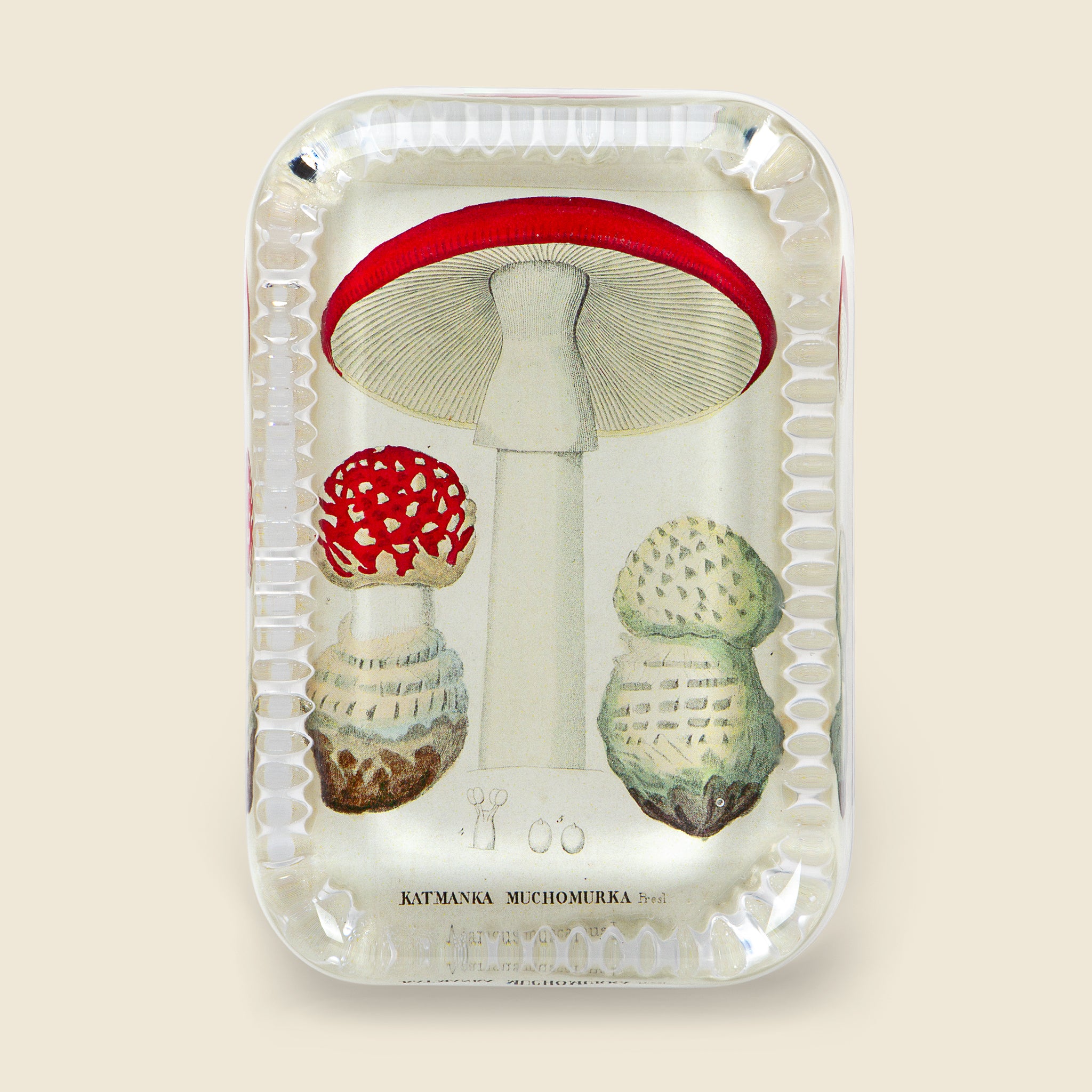 Katamanka Paperweight - John Derian - STAG Provisions - Home - Art & Accessories - Decorative Object