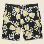 Outline Boardshort - Black - Katin - STAG Provisions - Shorts - Swim