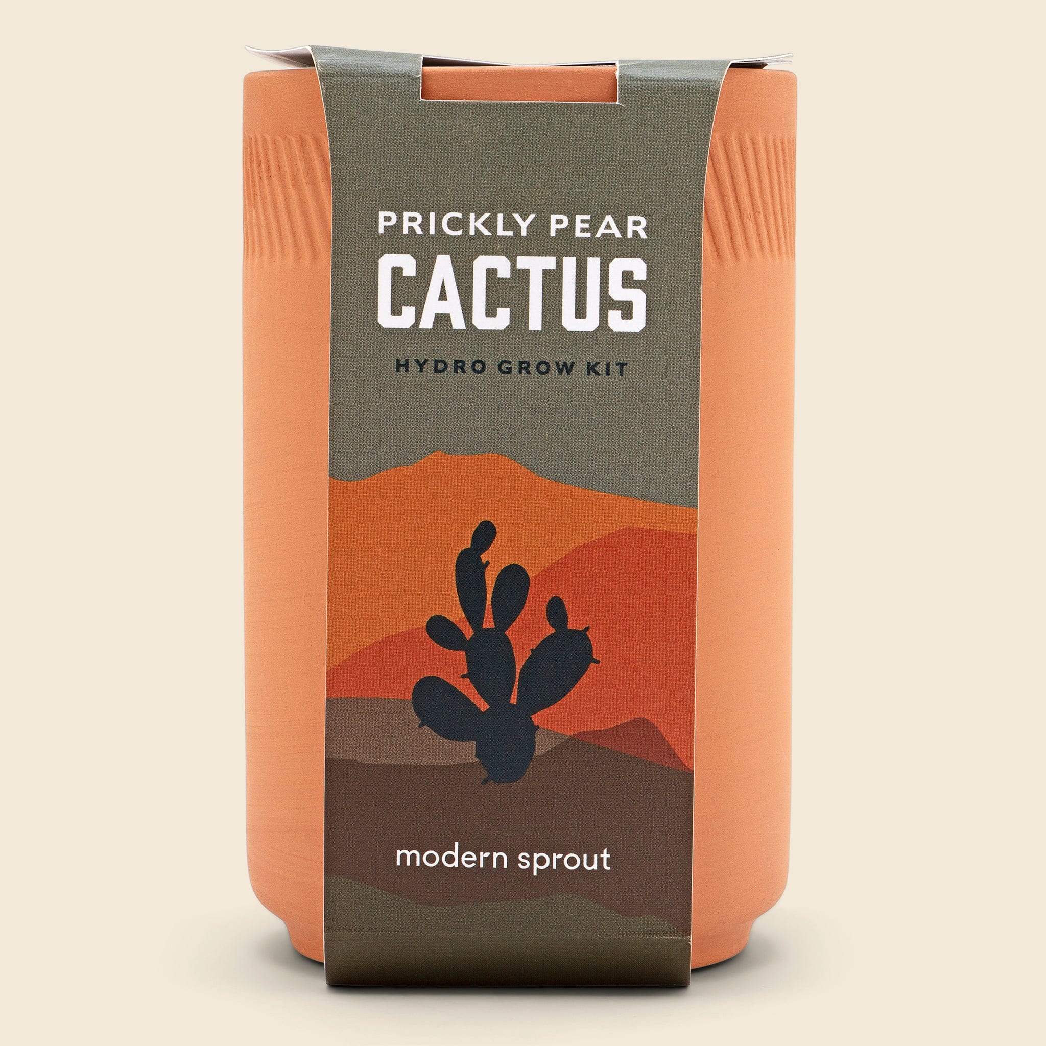 Terracotta Prickly Pear Cactus Kit - Home - STAG Provisions - Home - Art & Accessories - Decorative Object