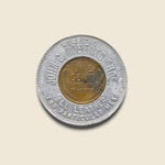 Lucky Coin - Metal - Vintage - STAG Provisions - One & Done - Miscellaneous