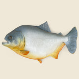 Large Taxidermy Piranha - Vintage - STAG Provisions - One & Done - Miscellaneous