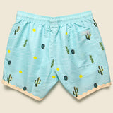 Swim Trunk - Mexico - OAS - STAG Provisions - Shorts - Swim