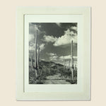 Large 1920s Cactus Photo - Art Gallery - STAG Provisions - One & Done - Art