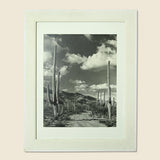 Large 1920s Cactus Photo - Art Gallery - STAG Provisions - One & Done - Art