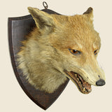 Fox Mount Taxidermy - Vintage - STAG Provisions - One & Done - Miscellaneous