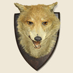 Fox Mount Taxidermy - Vintage - STAG Provisions - One & Done - Miscellaneous
