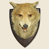Fox Mount Taxidermy - Vintage - STAG Provisions - One & Done - Miscellaneous